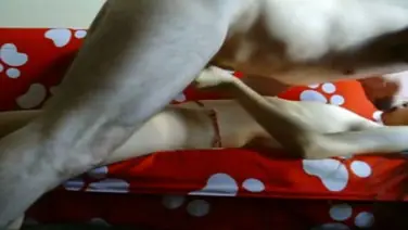 ABG Bispak Jakarta Hotel Bintang Lima Skandal